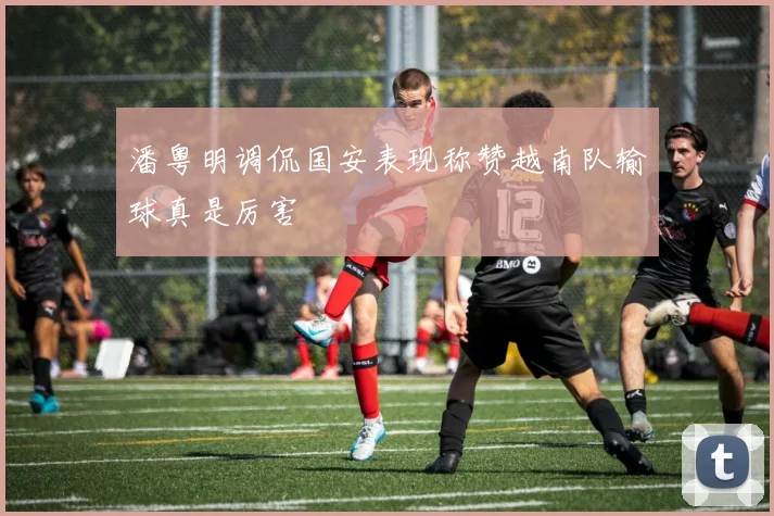 潘粤明调侃国安表现称赞越南队输球真是厉害