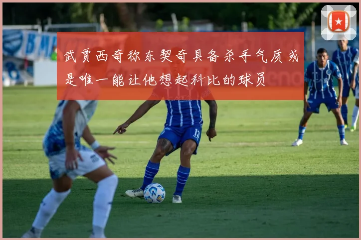武贾西奇称东契奇具备杀手气质或是唯一能让他想起科比的球员