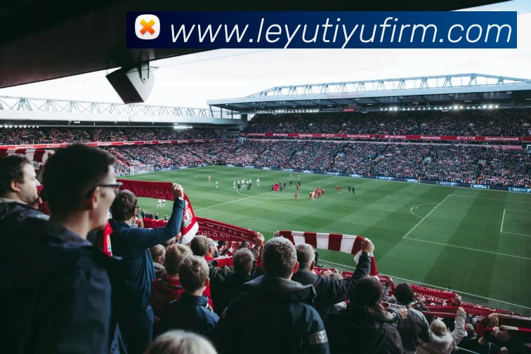 App Interface Preview